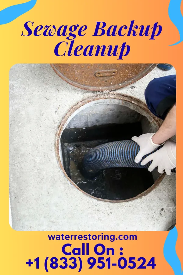 Sewage Backup Cleanup in Mount Pleasant, MI