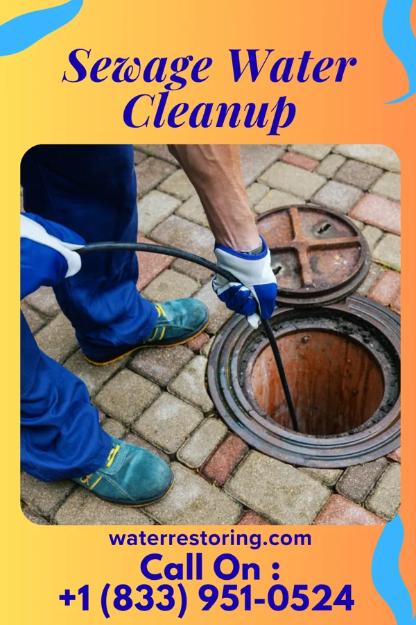 Sewage Water Cleanup in Mount Pleasant, MI